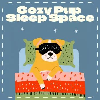 Calming Dog Sleep Space Checklist for Puppies & Seniors
